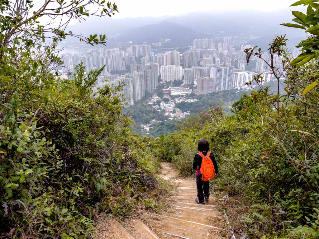 yuk shoa fung to Fu Heng Tai Po cloudy hill down wilson trail section 8 hong kong - laugh travel eat