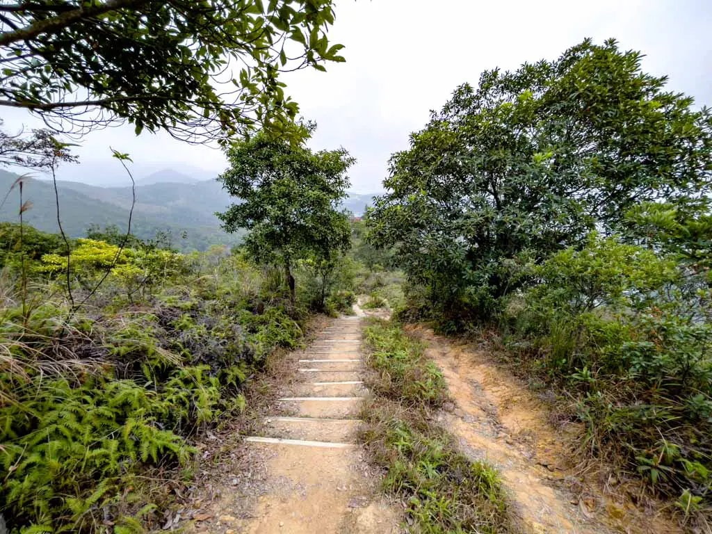 yuk shoa fung to Fu Heng Tai Po cloudy hill down wilson trail section 8 hong kong - laugh travel eat