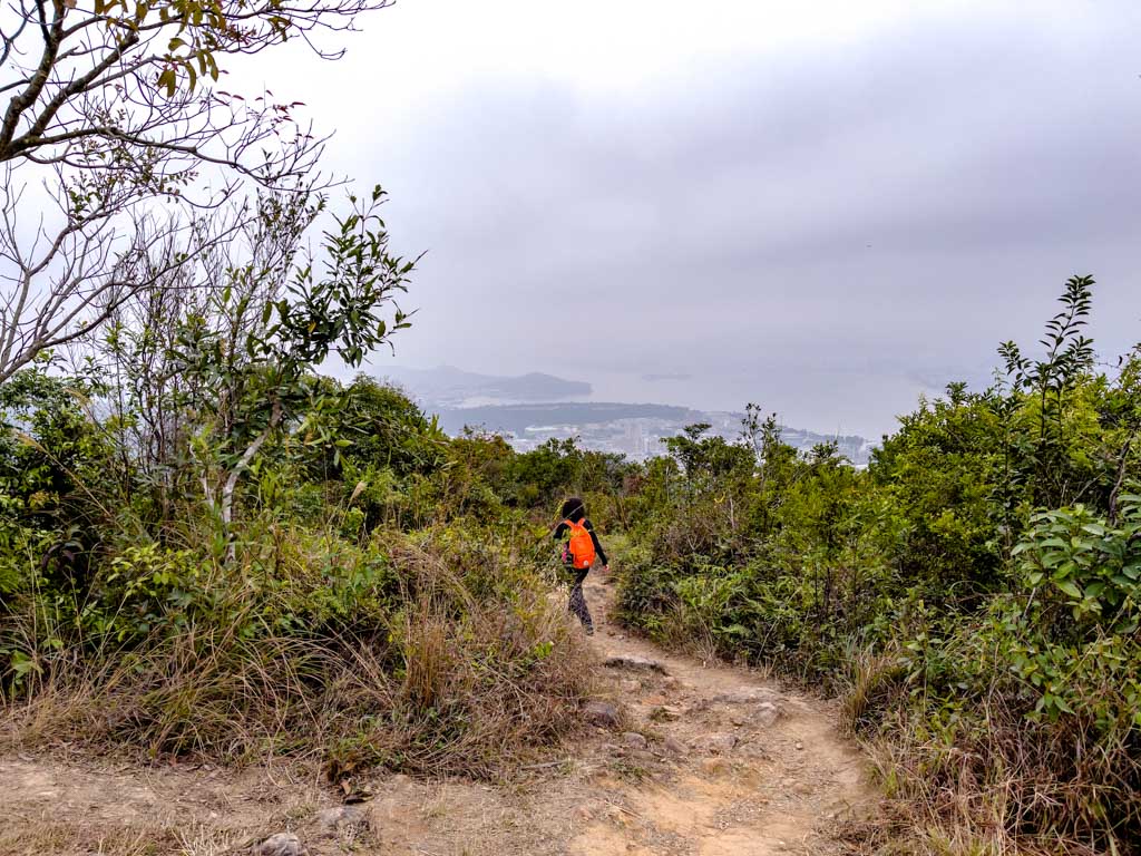 yuk shoa fung to Fu Heng Tai Po cloudy hill down wilson trail section 8 hong kong - laugh travel eat