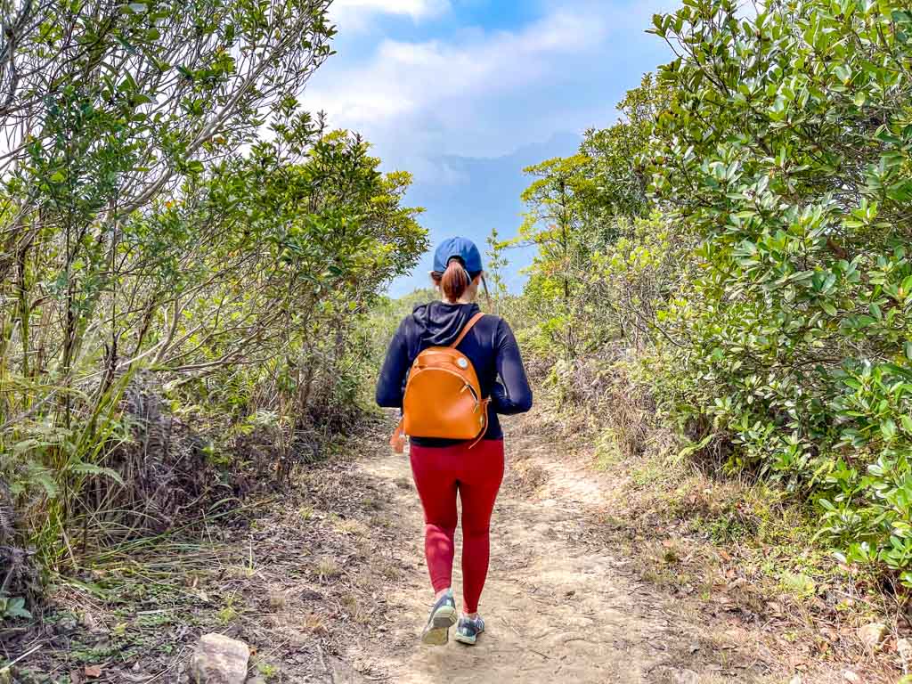 Kai Kung Shan to shui long wo maclehose trail stage 3 sai kung hong kong - laugh travel eat