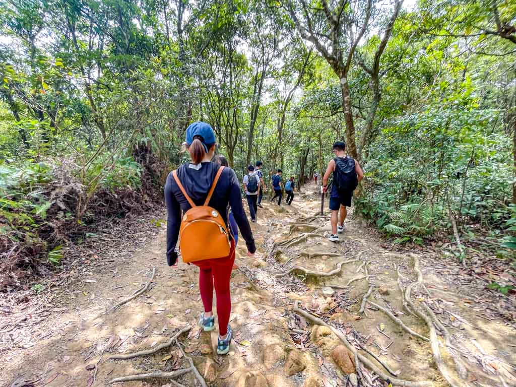 Kai Kung Shan to shui long wo maclehose trail stage 3 sai kung hong kong - laugh travel eat