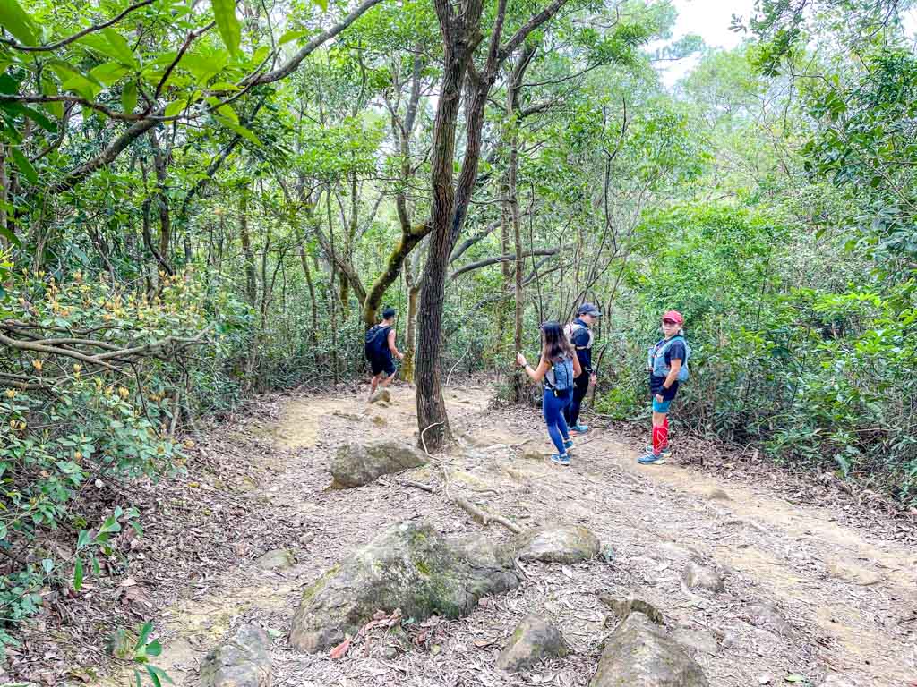 Kai Kung Shan to shui long wo maclehose trail stage 3 sai kung hong kong - laugh travel eat