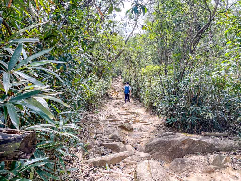 Kai Kung Shan to shui long wo maclehose trail stage 3 sai kung hong kong - laugh travel eat