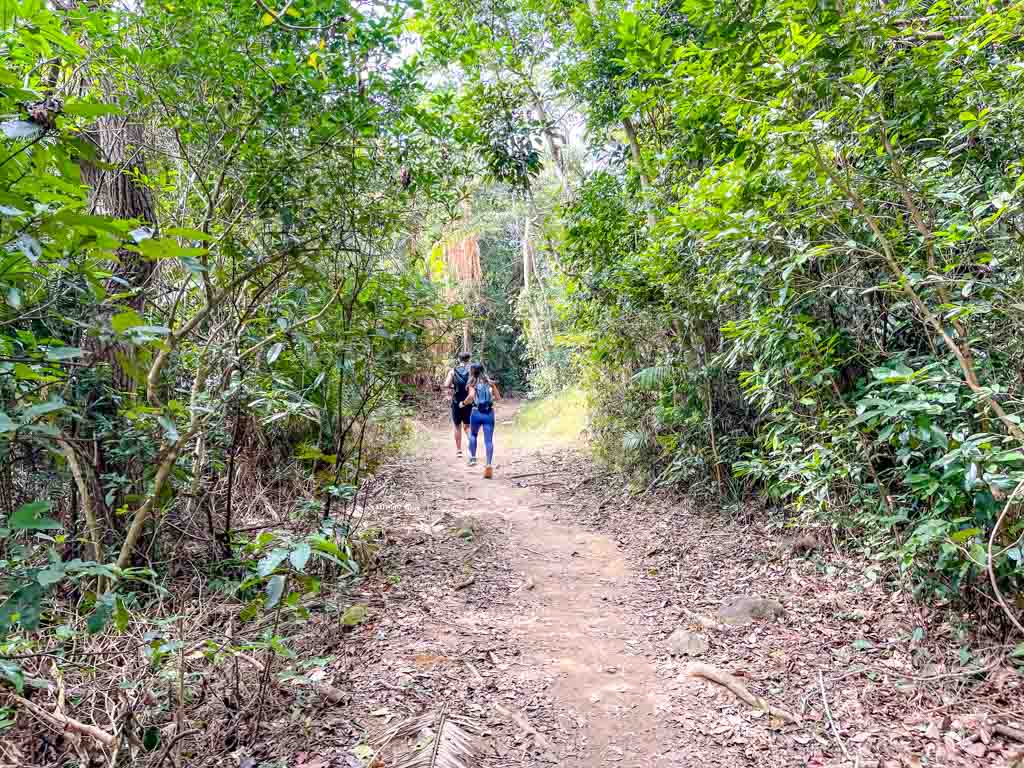 Kai Kung Shan to shui long wo maclehose trail stage 3 sai kung hong kong - laugh travel eat-7