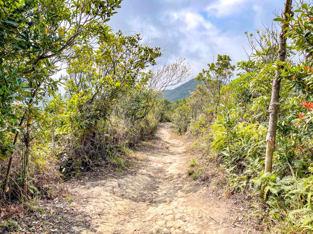 Kai Kung Shan to shui long wo maclehose trail stage 3 sai kung hong kong - laugh travel eat