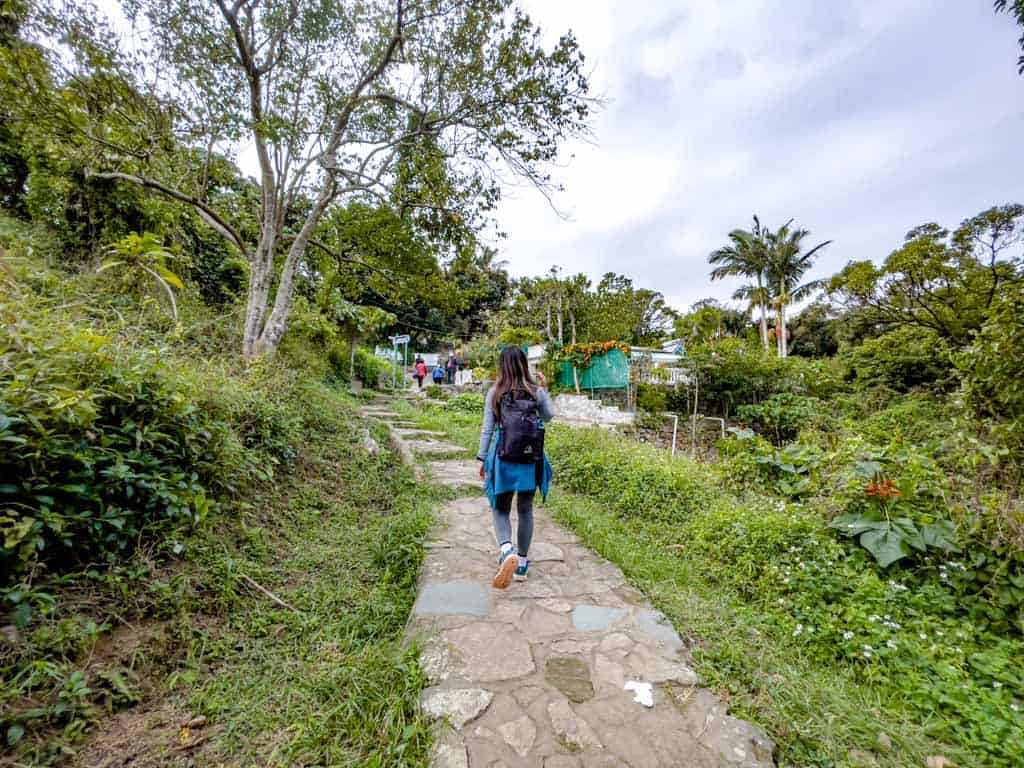 Little Hawaii waterfalls to wilson triail section 3 tseung Kwan o hong kong - laugh travel eat-4