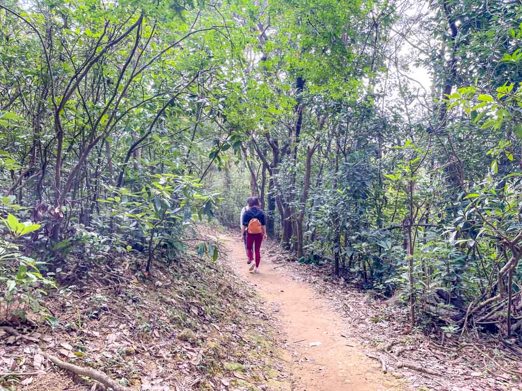 cheung sheung to wa mei shan maclehose trail stage 3 sai kung hong kong - laugh travel eat