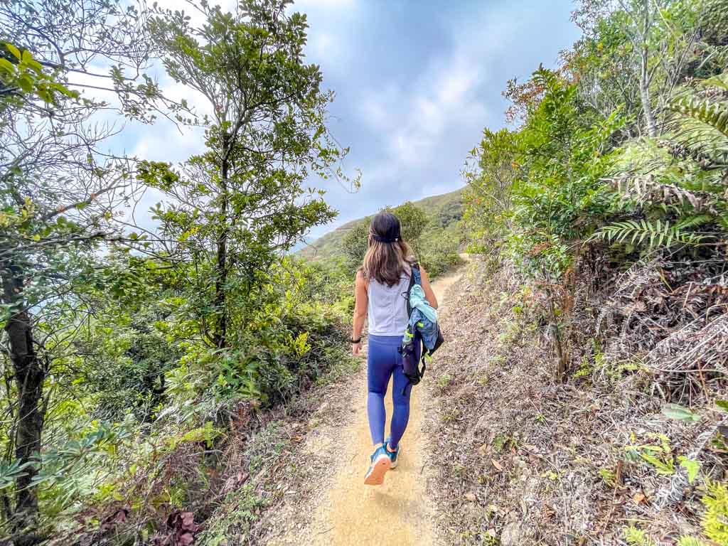 cheung sheung to wa mei shan maclehose trail stage 3 sai kung hong kong - laugh travel eat