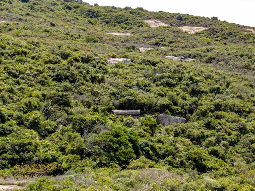coffin rock route 2 po toi island hong kong - laugh travel eat