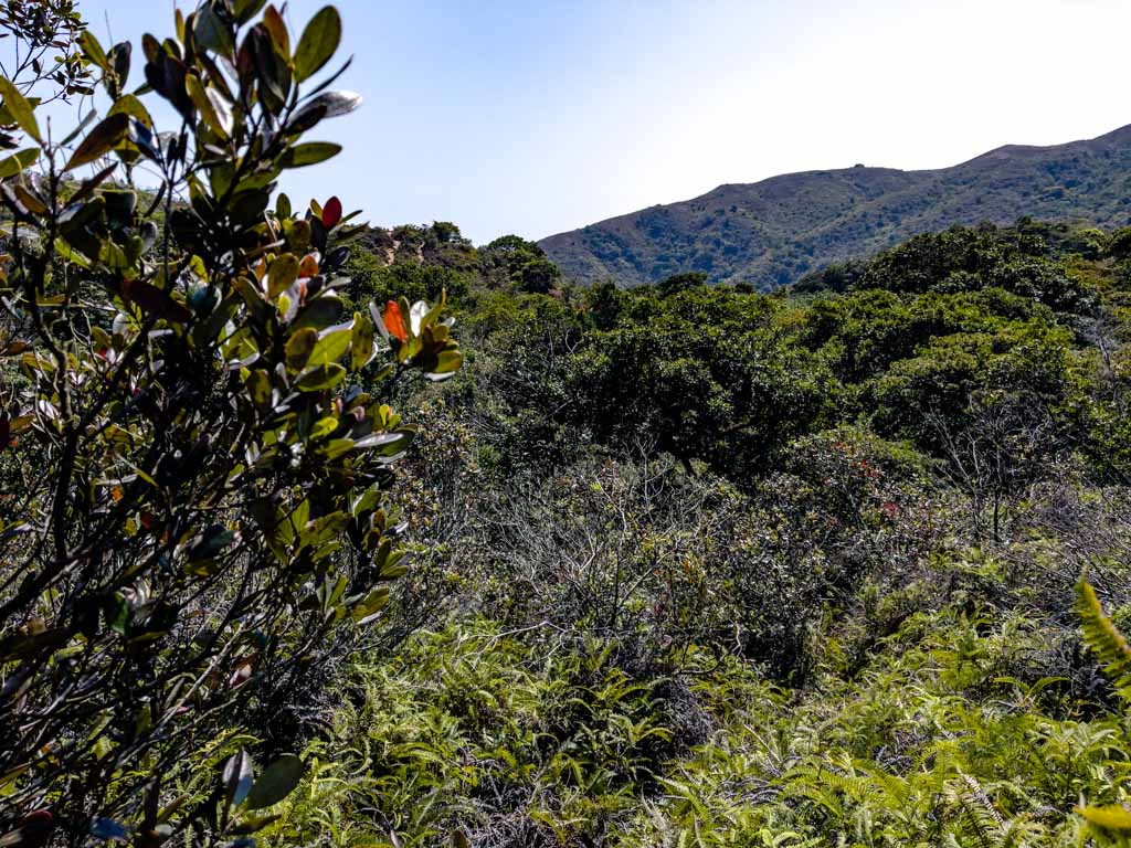 confusing part of mai fan tsui to tuen tsui cheung tsui junction sai kung hong kong 一尖三咀過四灣 - laugh travel eat