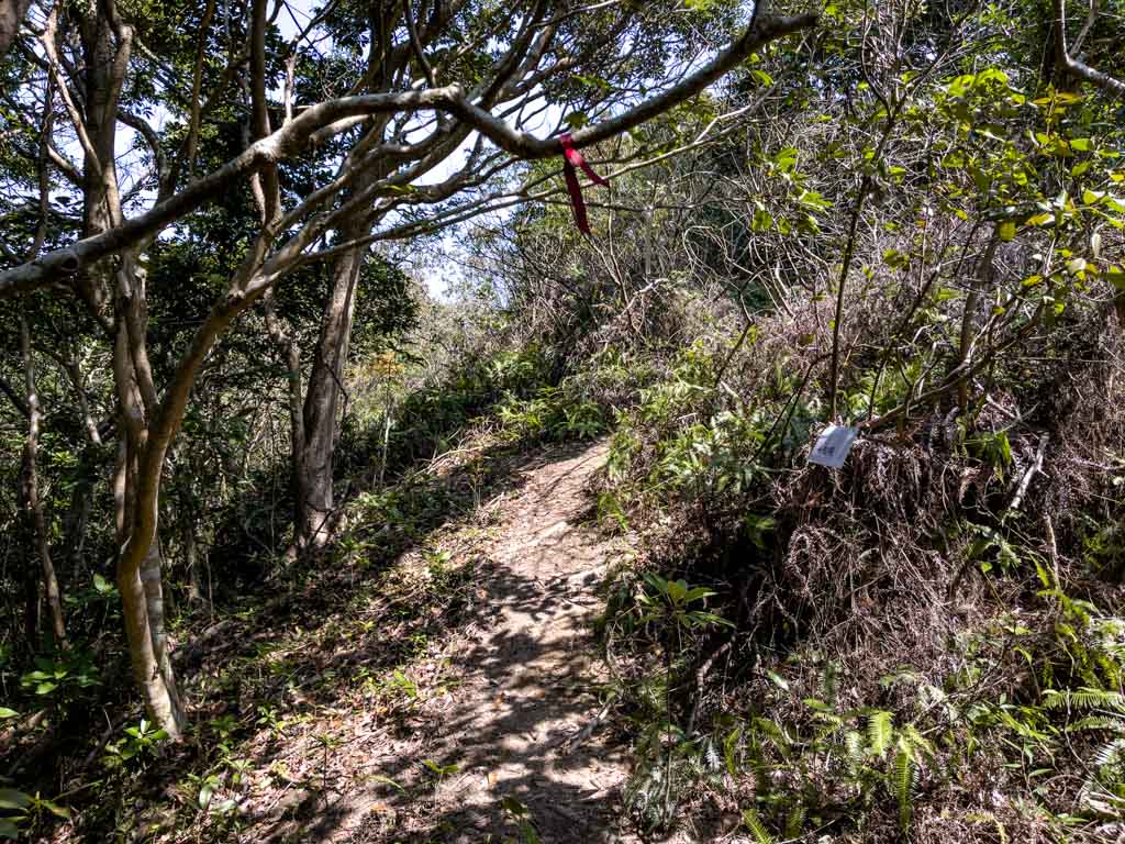 confusing part of mai fan tsui to tuen tsui cheung tsui junction sai kung hong kong 一尖三咀過四灣 - laugh travel eat