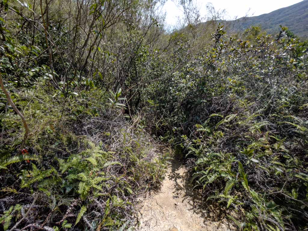 confusing part of mai fan tsui to tuen tsui cheung tsui junction sai kung hong kong 一尖三咀過四灣 - laugh travel eat