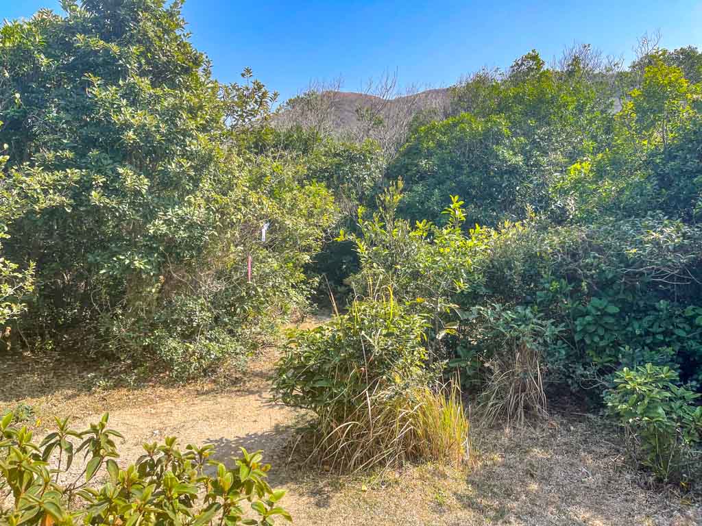 going down cheung tsui sai kung hong kong 一尖三咀過四灣 - laugh travel eat