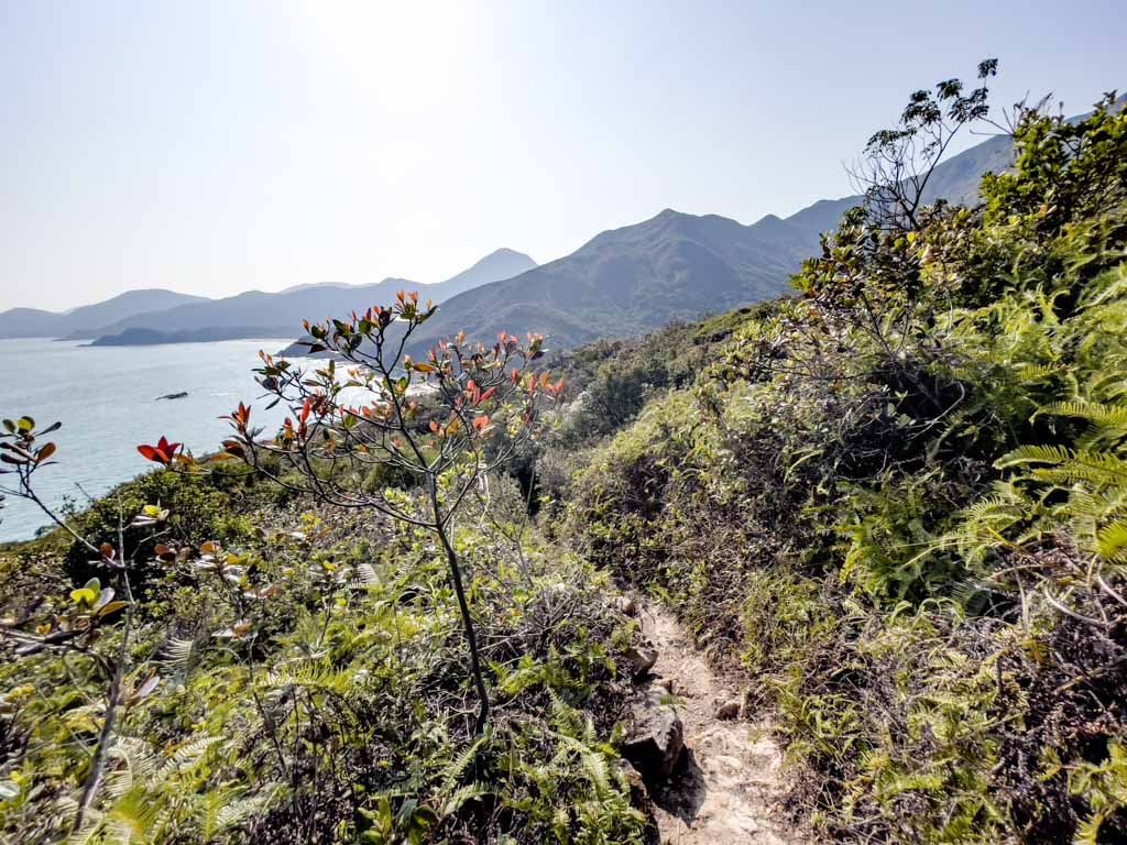 going down tung wan sai kung hong kong 一尖三咀過四灣 - laugh travel eat