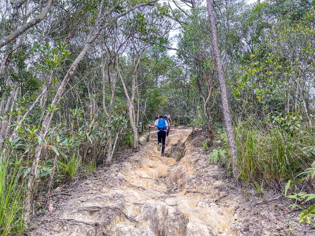going up Kai Kung Shan maclehose trail stage 3 sai kung hong kong - laugh travel eat