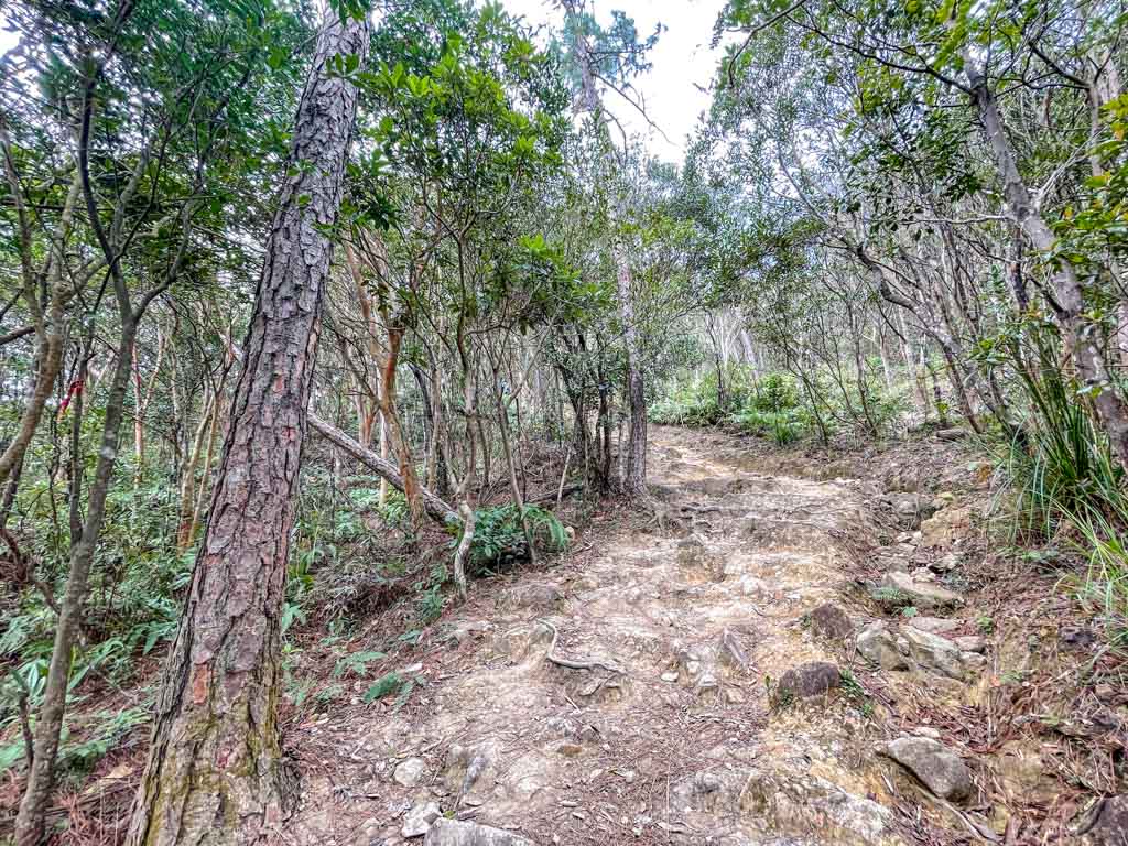 going up Kai Kung Shan maclehose trail stage 3 sai kung hong kong - laugh travel eat