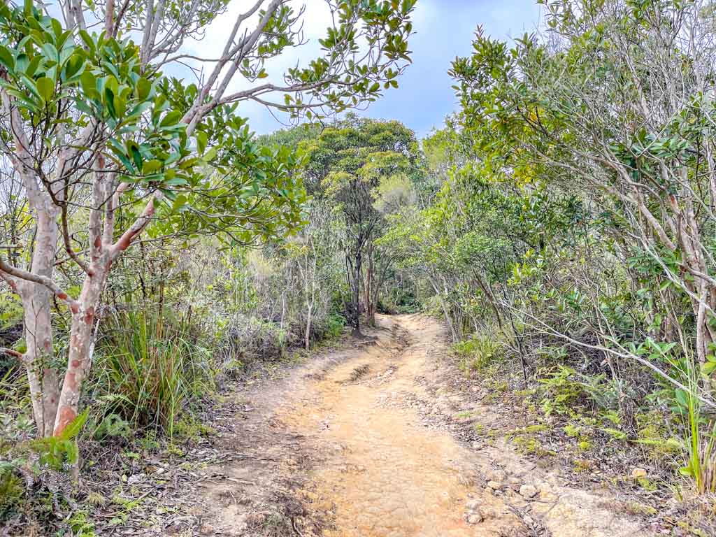 going up Kai Kung Shan maclehose trail stage 3 sai kung hong kong - laugh travel eat