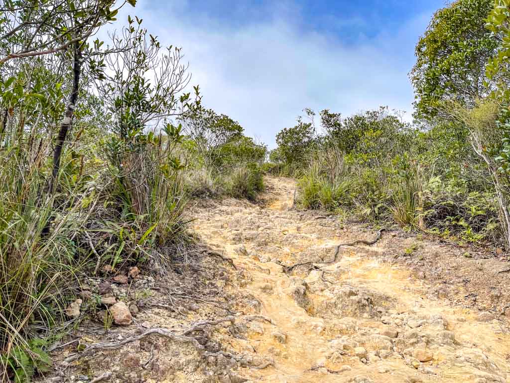 going up Kai Kung Shan maclehose trail stage 3 sai kung hong kong - laugh travel eat