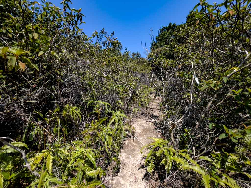 mai fan tsui to tuen tsui overground part sai kung hong kong 一尖三咀過四灣 - laugh travel eat