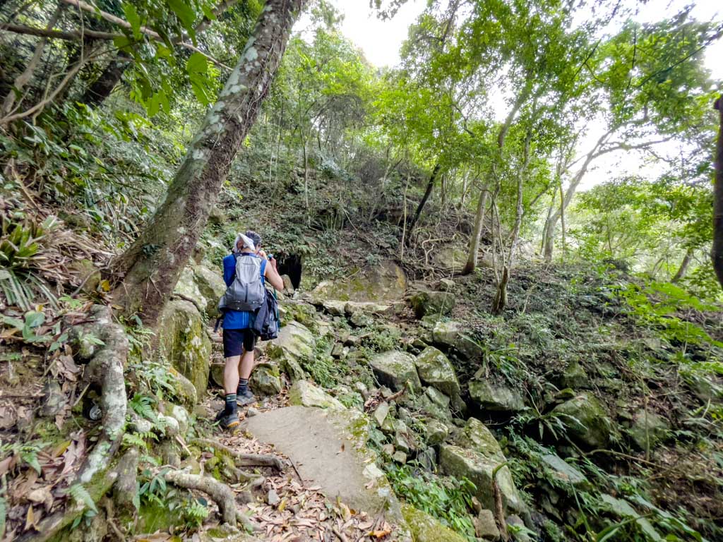 main fall to scatter fall ng tung chai waterfall hike hong kong - laugh travel eat