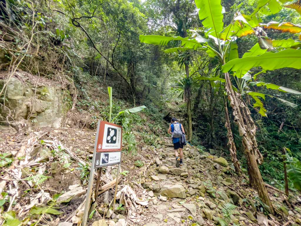 main fall to scatter fall ng tung chai waterfall hike hong kong - laugh travel eat
