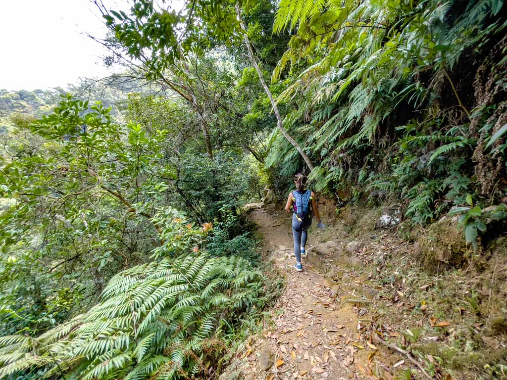 middle fall to main fall ng tung chai waterfall hike hong kong - laugh travel eat