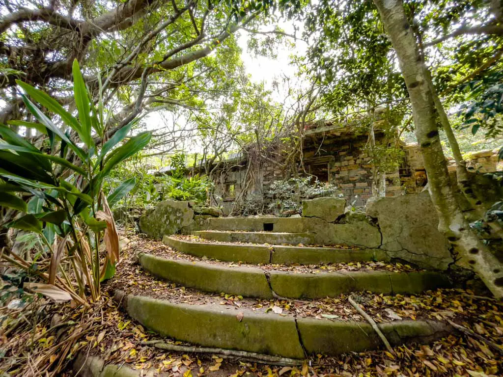 mo's mansion route 2 po toi island hong kong - laugh travel eat