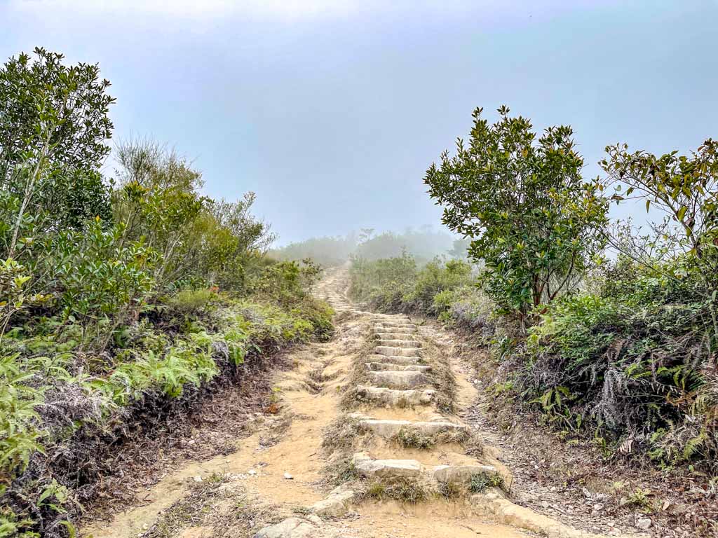 pak tam au to cheung sheung maclehose trail stage 3 sai kung hong kong - laugh travel eat