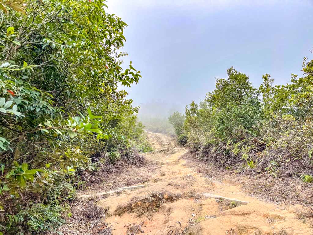 pak tam au to cheung sheung maclehose trail stage 3 sai kung hong kong - laugh travel eat
