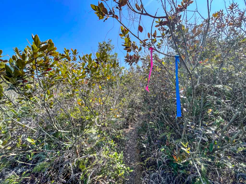 river crossing part tuen tsui cheung tsui junction to cheung tsui sai kung hong kong 一尖三咀過四灣 - laugh travel eat