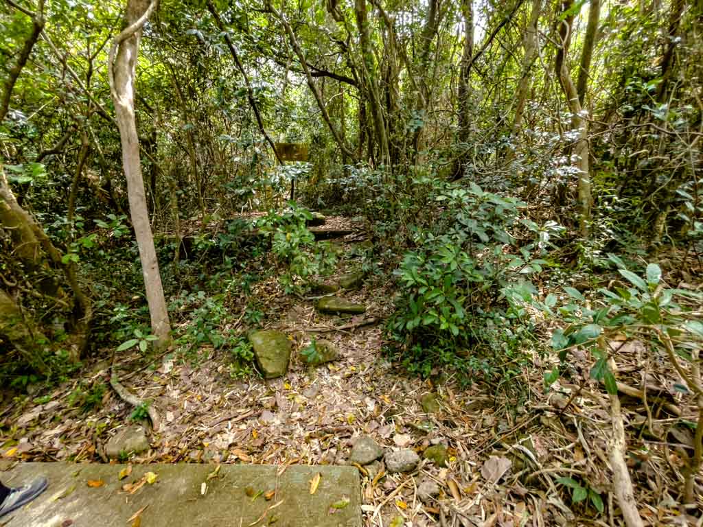 route 2 branch to mo's mansion po toi island hong kong - laugh travel eat