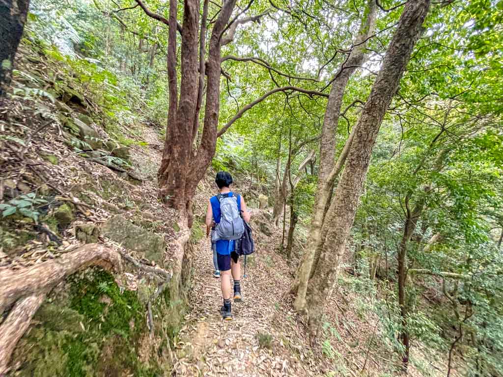 scatter fall to junction ng tung chai waterfall hike hong kong - laugh travel eat