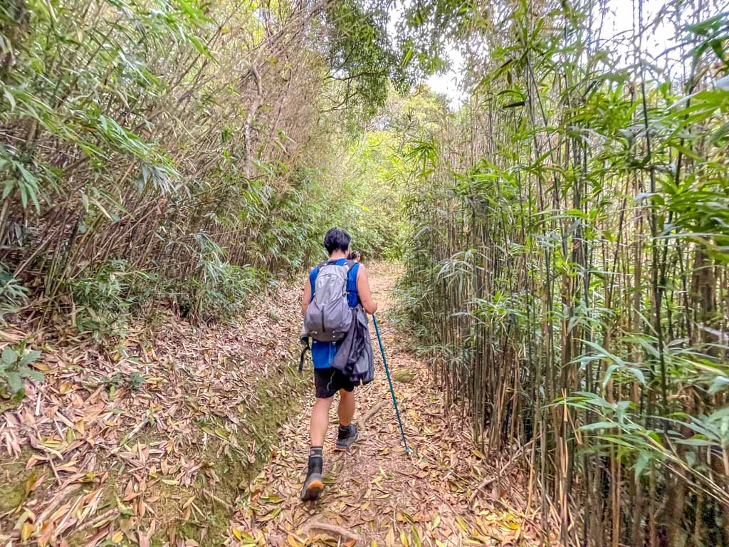 scatter fall to junction ng tung chai waterfall hike hong kong - laugh travel eat