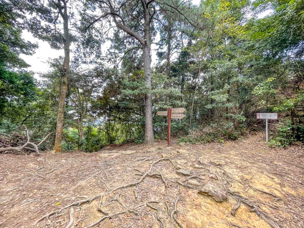 tai mo shan ng tung chai junction ng tung chai waterfall hike hong kong - laugh travel eat