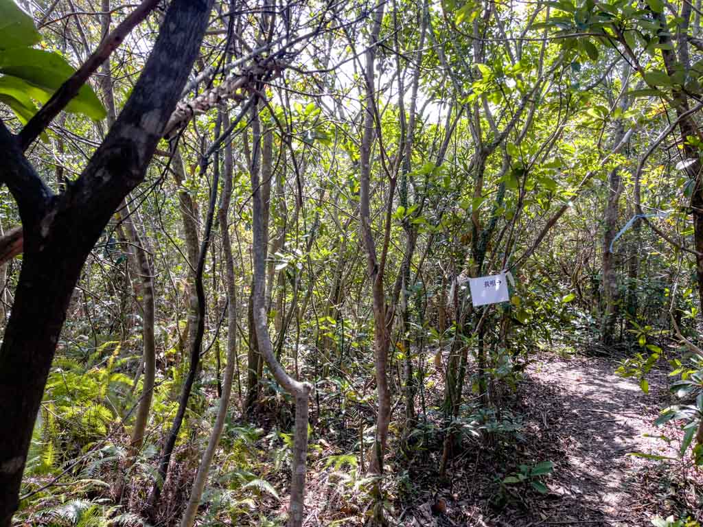 to cheung tsui tuen tsui cheung tsui junction sai kung hong kong 一尖三咀過四灣 - laugh travel eat