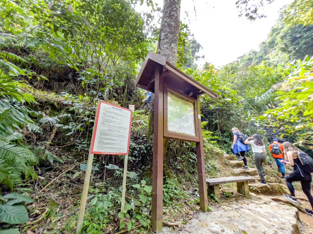 trail start ng tung chai waterfall hike hong kong - laugh travel eat