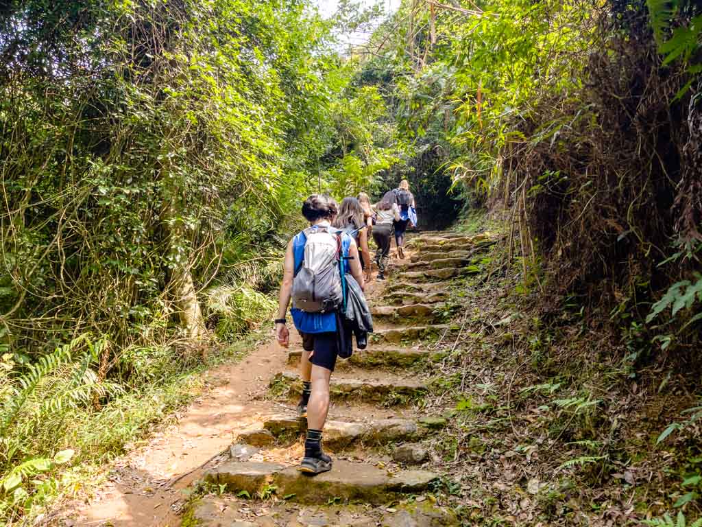 trail start to bottom fall junction ng tung chai waterfall hike hong kong - laugh travel eat