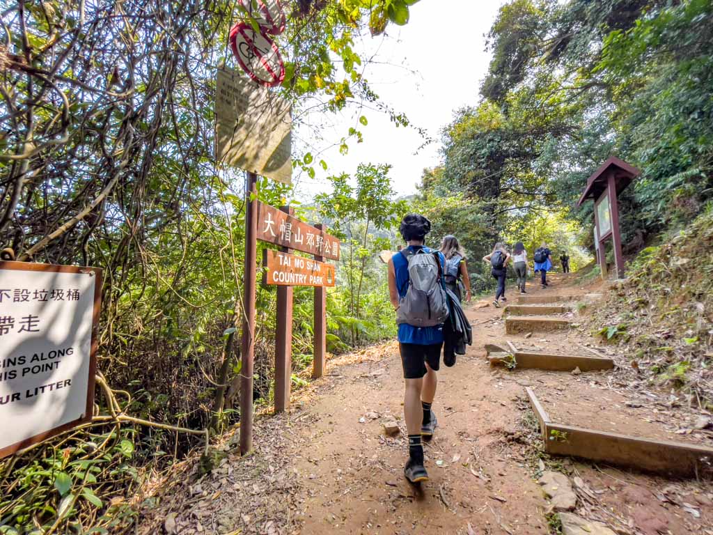 trail start to bottom fall junction ng tung chai waterfall hike hong kong - laugh travel eat