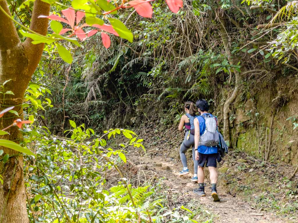 trail start to bottom fall junction ng tung chai waterfall hike hong kong - laugh travel eat