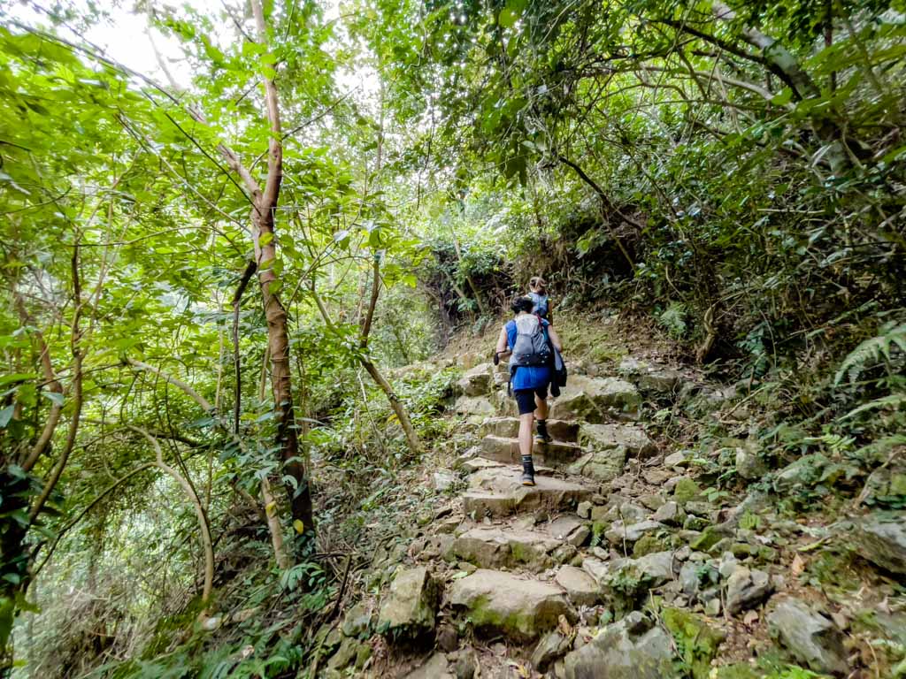trail start to bottom fall junction ng tung chai waterfall hike hong kong - laugh travel eat