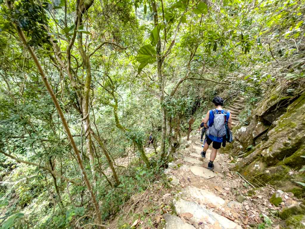trail start to bottom fall junction ng tung chai waterfall hike hong kong - laugh travel eat