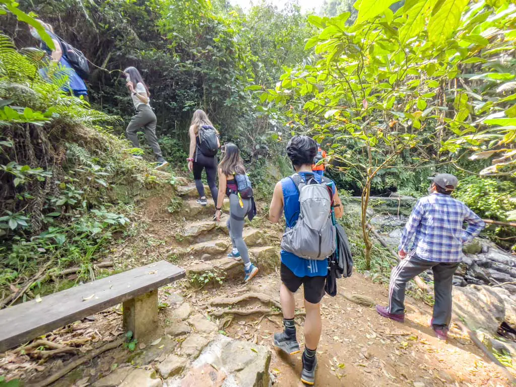 trail start to bottom fall junction ng tung chai waterfall hike hong kong - laugh travel eat