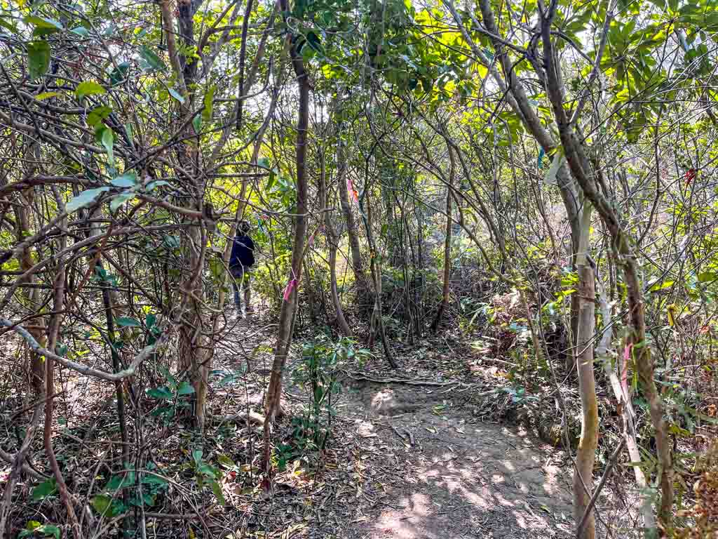 tuen tsui back to tuen tsui cheung tsui junction sai kung hong kong 一尖三咀過四灣 - laugh travel eat