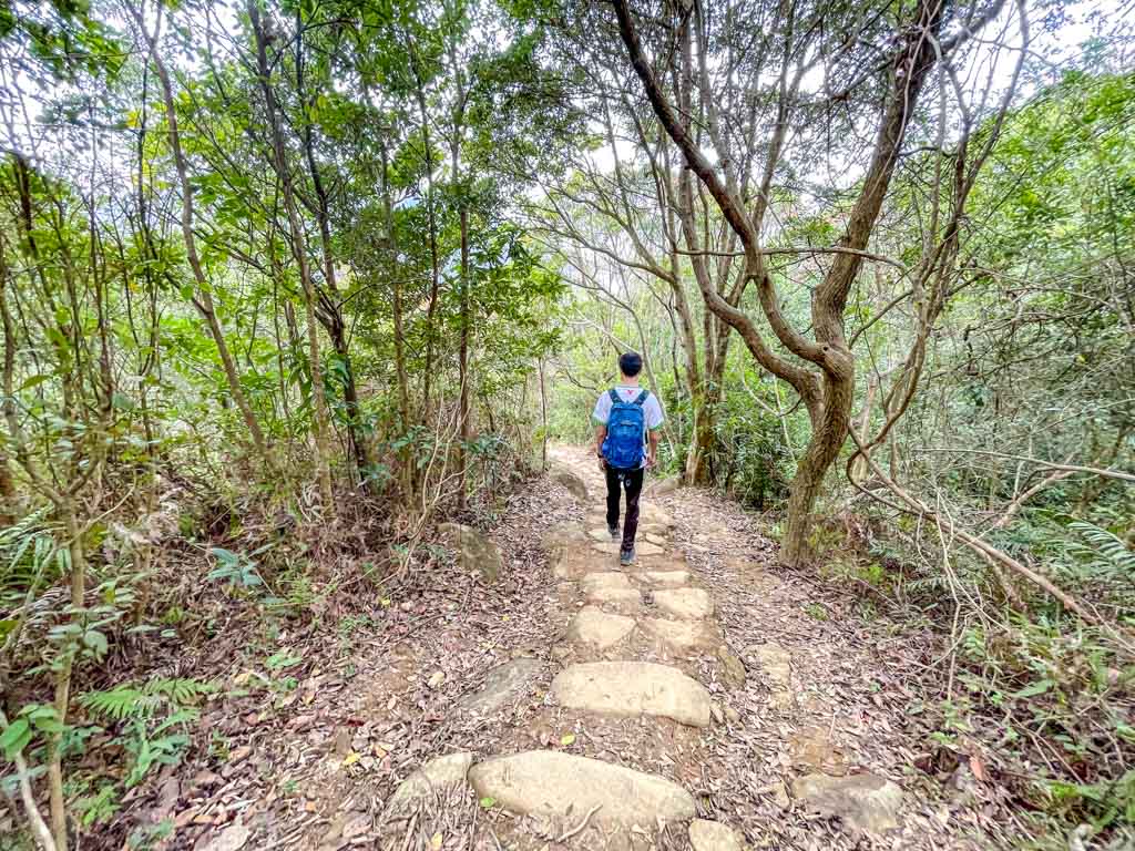 wa mei shan downhill to start of Kai Kung Shan maclehose trail stage 3 sai kung hong kong - laugh travel eat-6