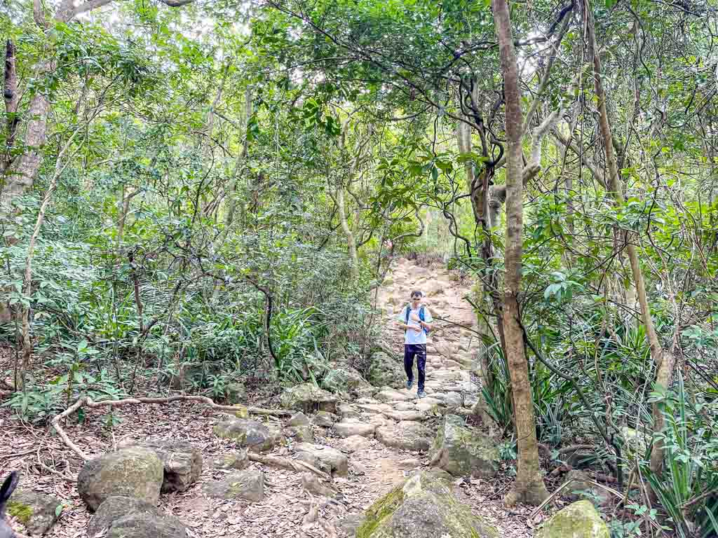 wa mei shan downhill to start of Kai Kung Shan maclehose trail stage 3 sai kung hong kong - laugh travel eat-6
