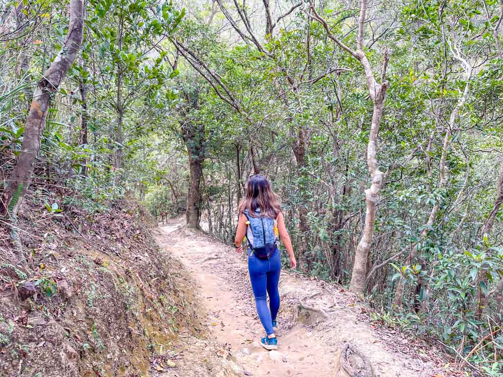 wa mei shan downhill to start of Kai Kung Shan maclehose trail stage 3 sai kung hong kong - laugh travel eat-6