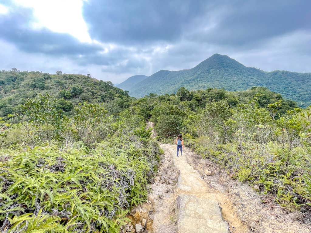 wa mei shan downhill to start of Kai Kung Shan maclehose trail stage 3 sai kung hong kong - laugh travel eat