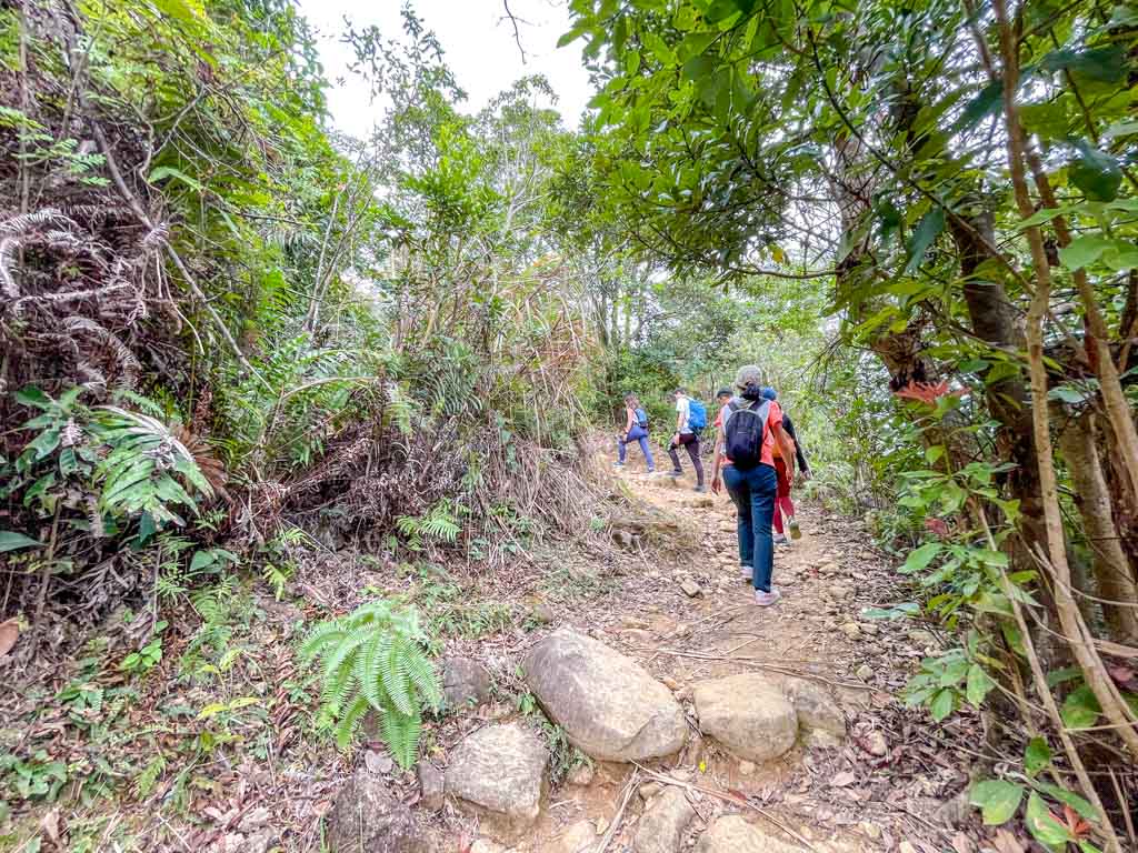 wa mei shan downhill to start of Kai Kung Shan maclehose trail stage 3 sai kung hong kong - laugh travel eat-6