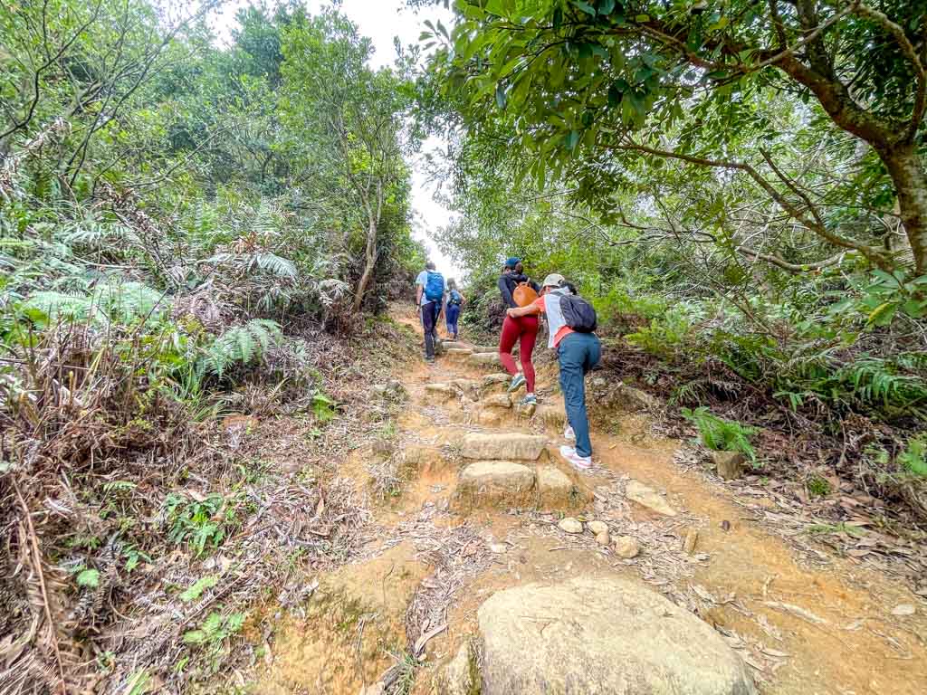 wa mei shan downhill to start of Kai Kung Shan maclehose trail stage 3 sai kung hong kong - laugh travel eat-6
