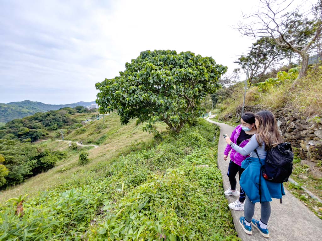 wilson triail section 3 to stui lam tseung Kwan o hong kong - laugh travel eat-2